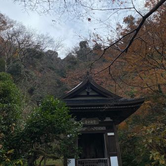 黄梅院、その奥はたぶん六国見山