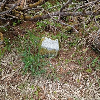 山頂の三角点