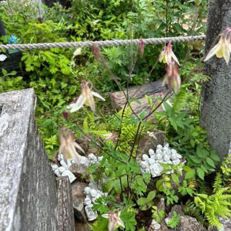 小さいお地蔵さまがたくさん
