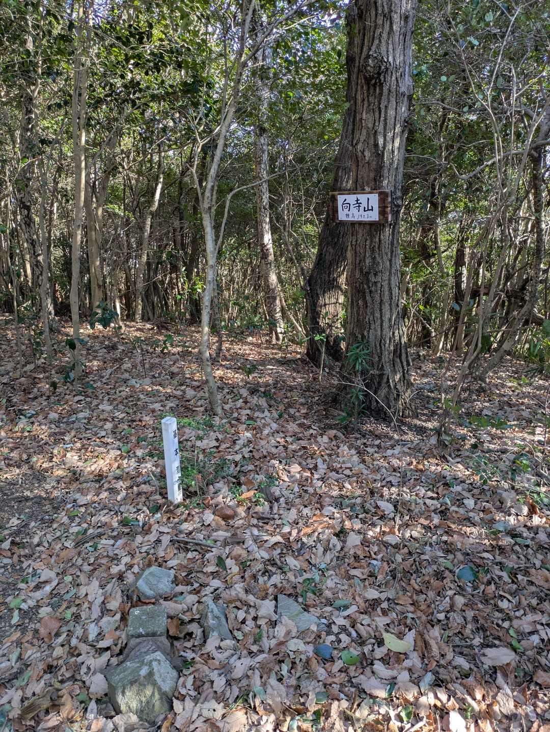 向寺山山頂

４等三角点