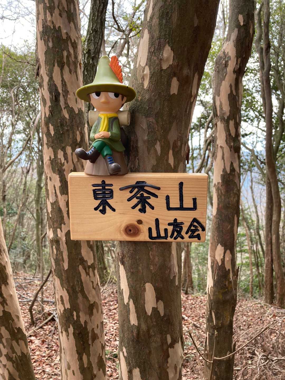 少しルートを外れて、今日最後のピークです。