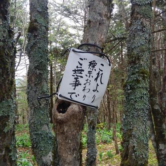 けんじ（ワンダフルトレイル）