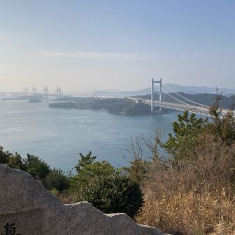 ずっと見ていたい🩷