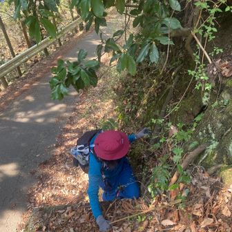 ここでルートと合流〜