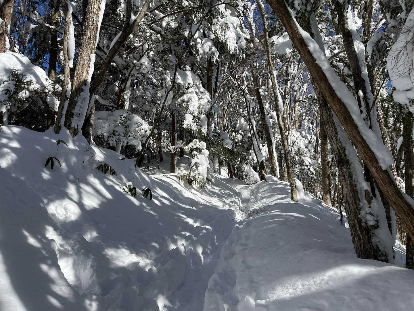 高嶺山登山道入口-長者峰 往復コースの写真
