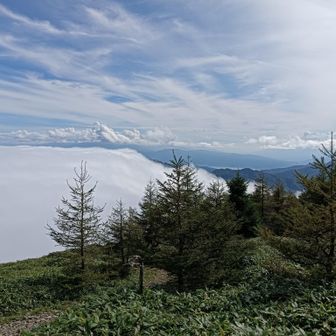 茶臼山
午後になってもまだまだ雲海が楽しめました
諏訪湖がちょこっと見えます
