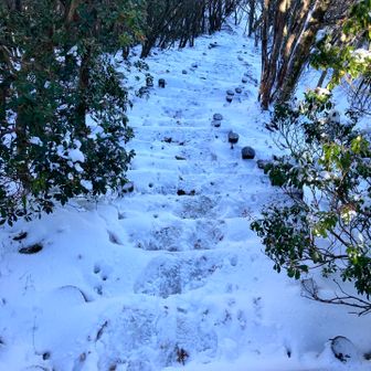 826直下の階段
今日は、チェーンスパ無しで
降りれましたね。