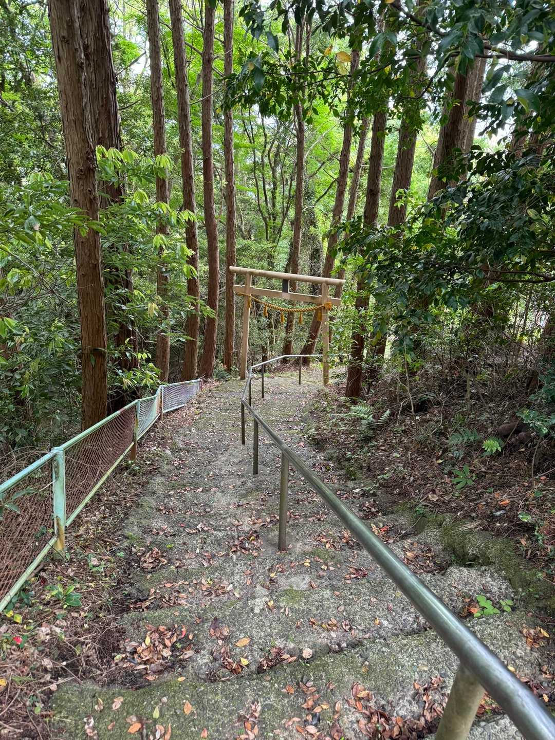 五井山 往復コースの写真