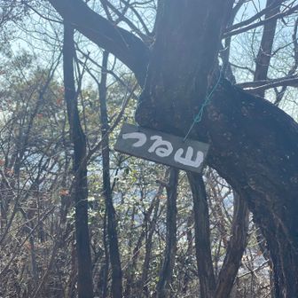 駐車場に下りる道の分岐がちょいちょいあるんだけどここまで来ると最後まで縦走したくなる。