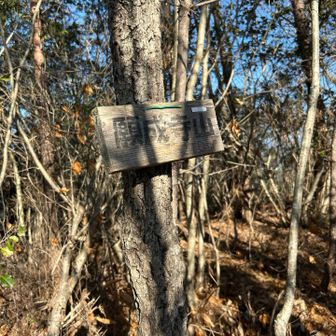 登頂　願成寺山