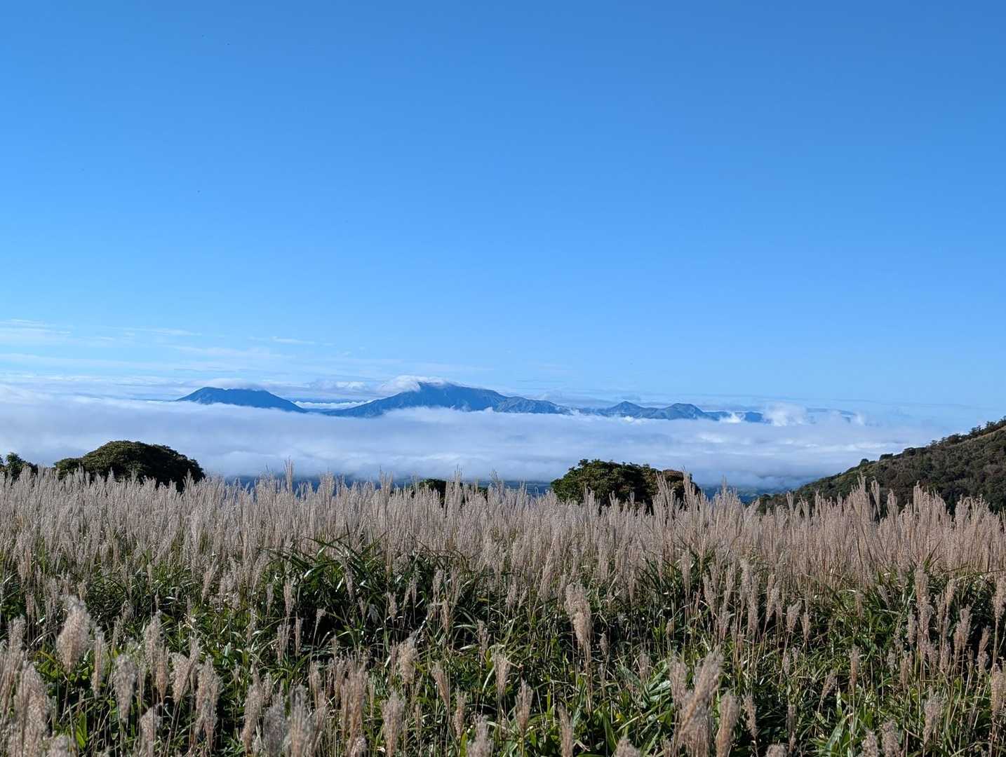 顔をあげれば、ススキ野に横たわる雲海と阿蘇五岳。
登山冥利につきます。
今日は、ホントに幸せな山歩き。