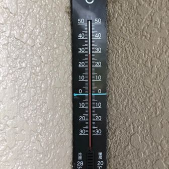 気温29℃。この後、下山開始時には30℃になっていました。体感的には今夏もっとも暑い🥵