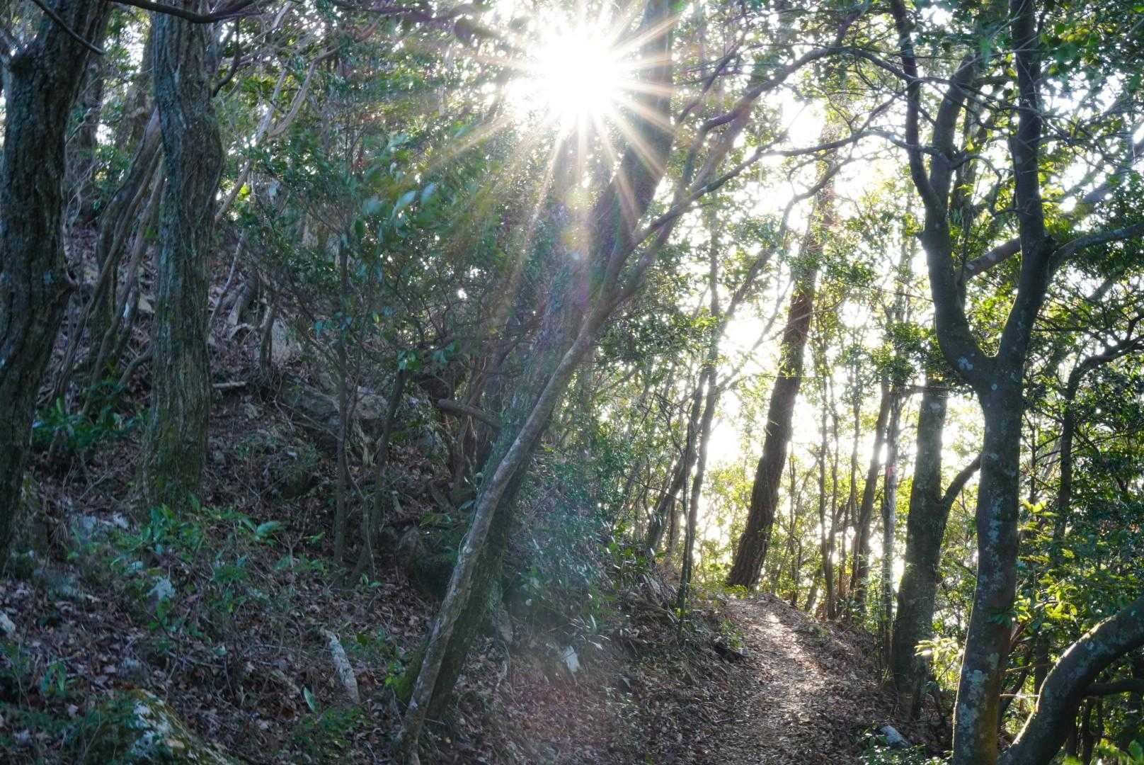 歩きやすくて雰囲気の良い山です✨
