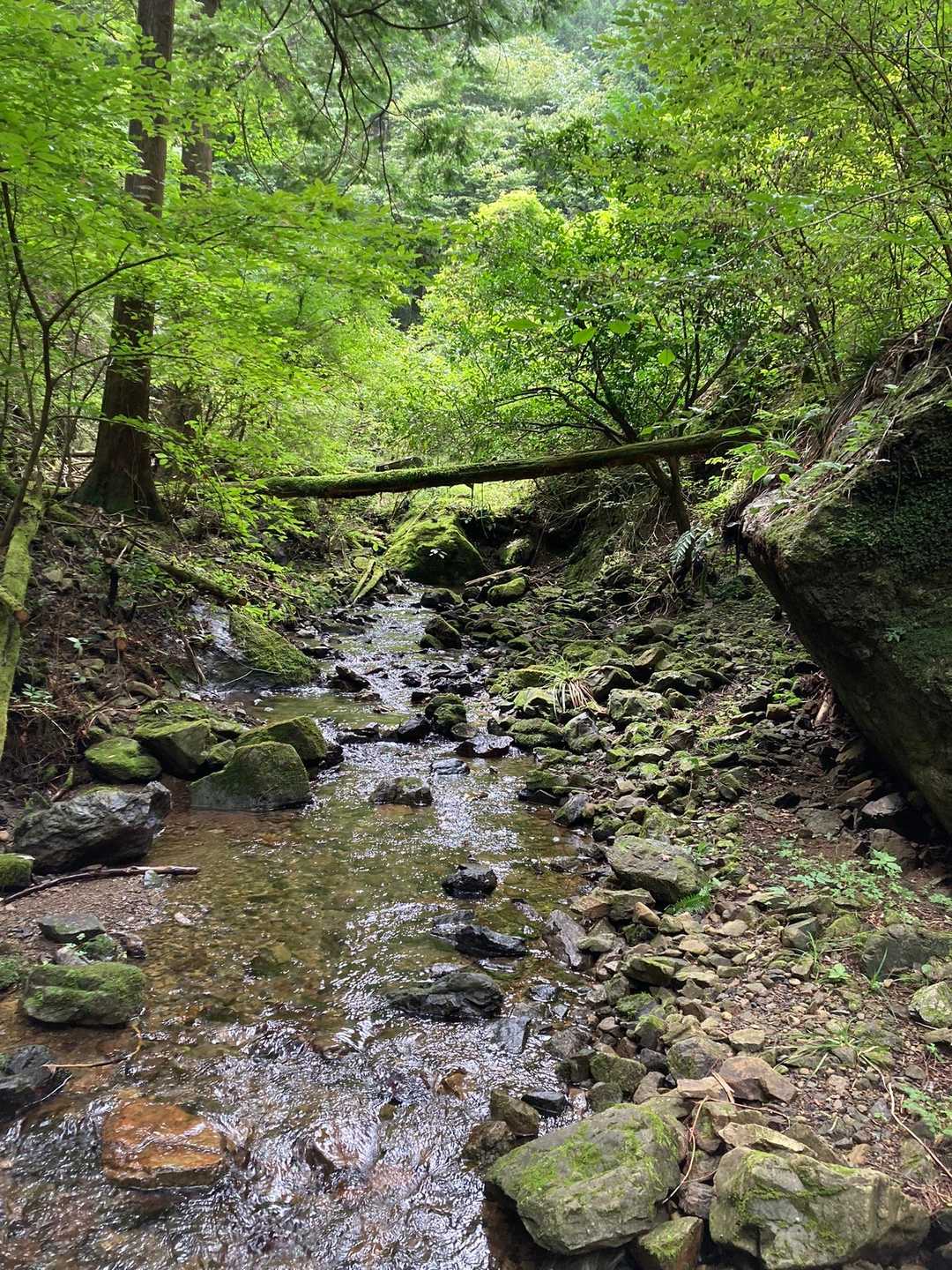水の流れが良い