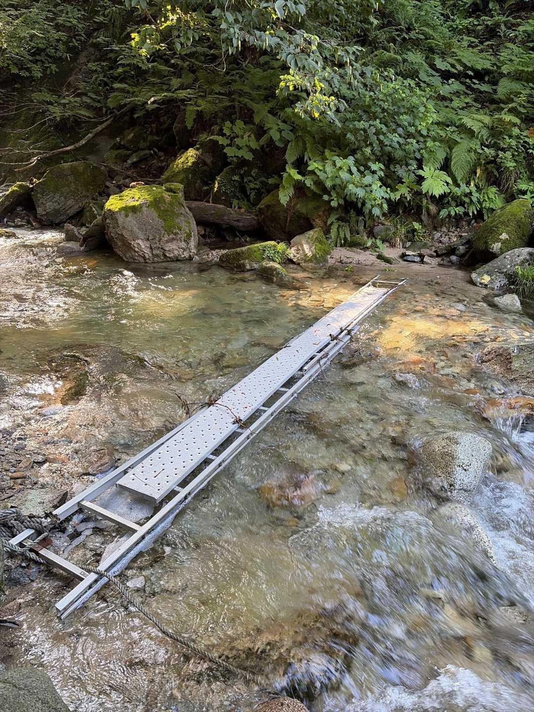 越沢登山口-摩耶山 往復コースの写真