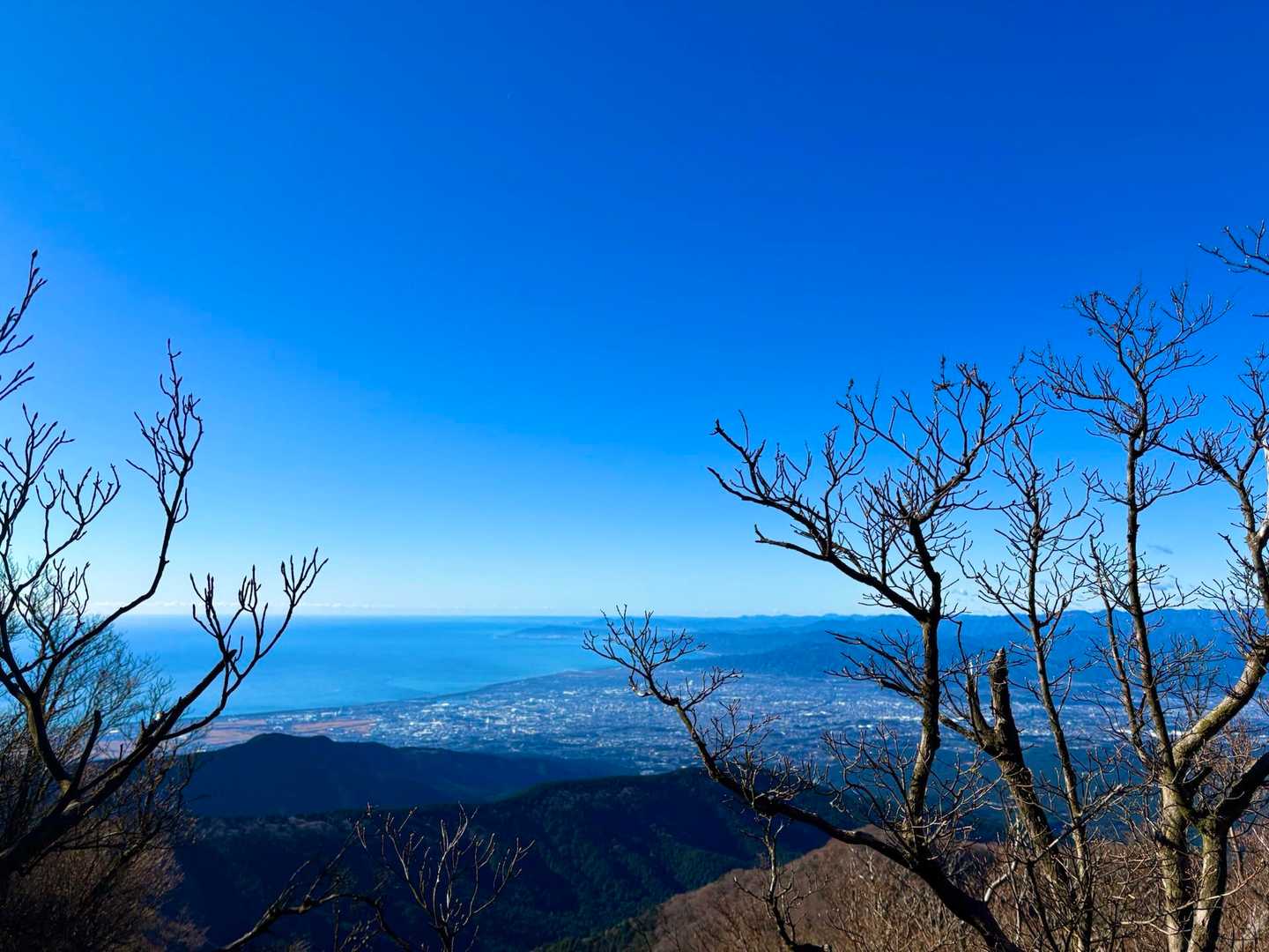 富士山と反対の展望は駿河湾