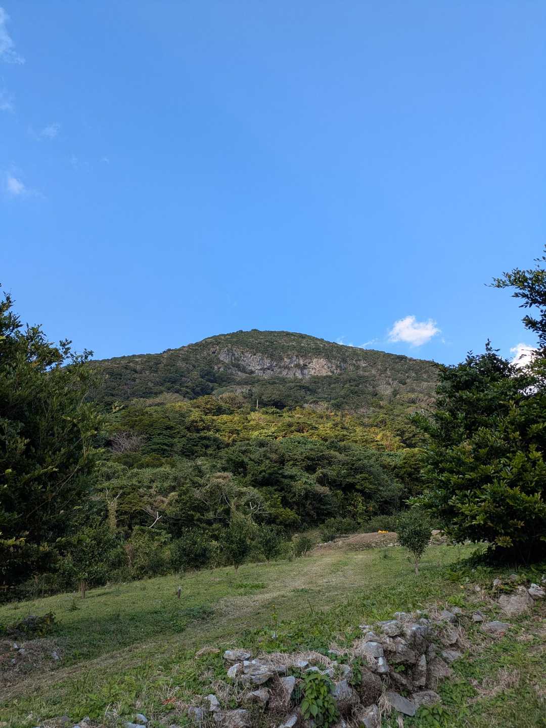 今日登ってきた山
