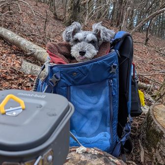 コーヒー待ち。寒いのでリュックの中