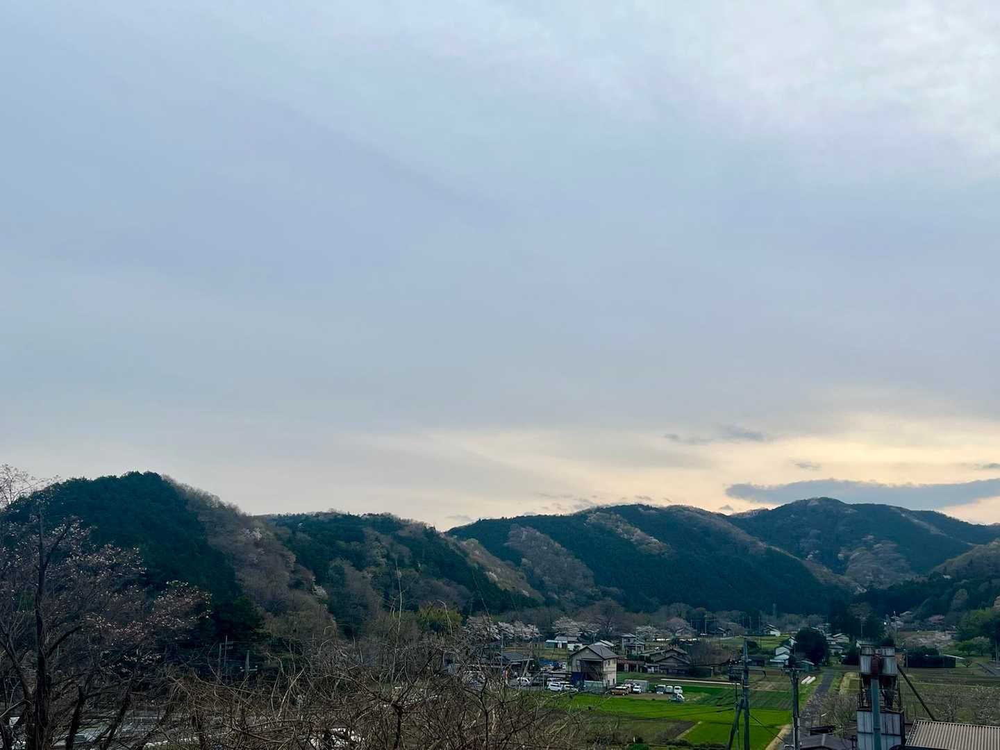大平山 周回コースの写真