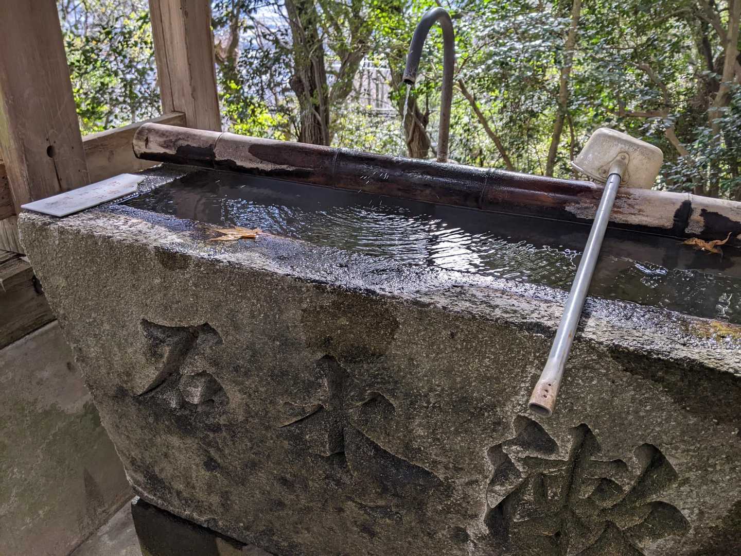 五峰山 往復コースの写真