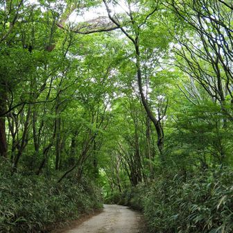 百ケ辻󠄀登山口に降りる道はコンクリート舗装路で、2.1km・45分の行程のようです。