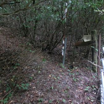 白い手摺り沿って上がり