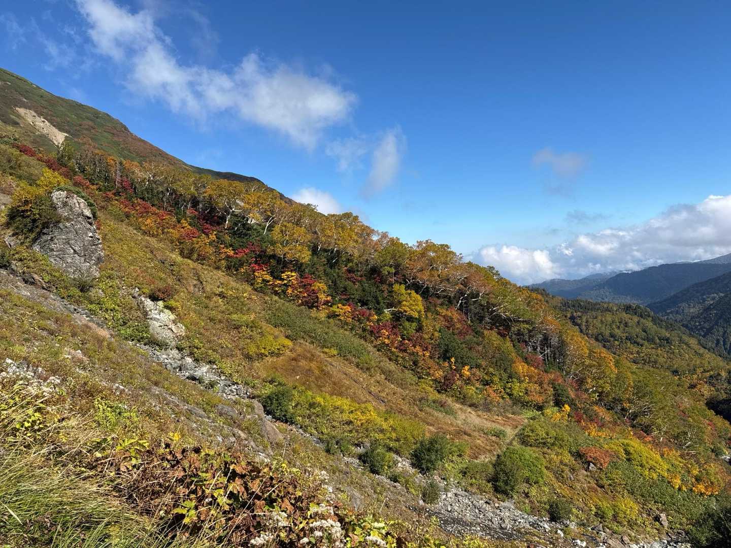朝日岳周回 | 蓮華温泉を起点に、花の海と白馬の展望を巡る北アルプス最北の旅の写真