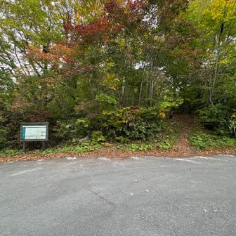 こちらの登山口は素晴らしい。