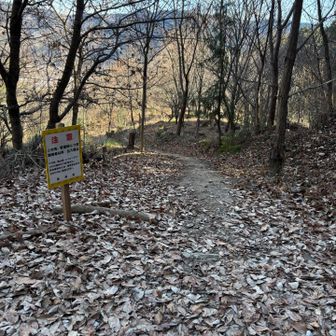 ショートカットルート立入禁止区域、上段側🚧