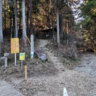 いそいそ帰ってたらあっという間に下山