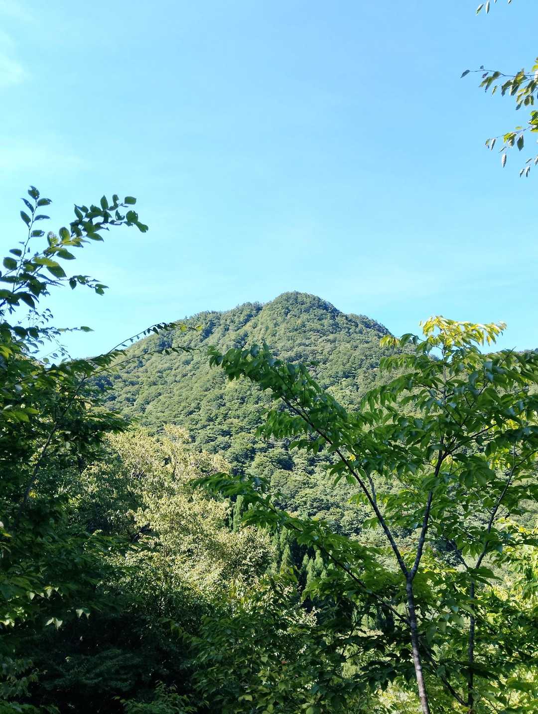 そして猿政山の頂も見えました🐒🏔️

山頂はお空に向かってニョキッと突き出ております⬆️

今からそこまで行っちゃるけぇ待ちょうれよ🚶