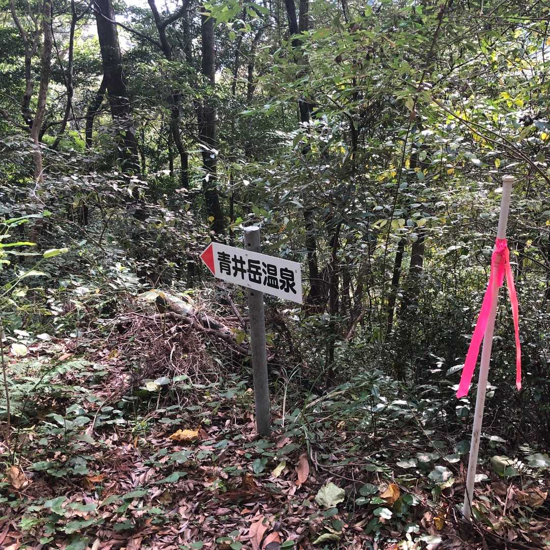 林道に戻り下っていたらこんな看板が
