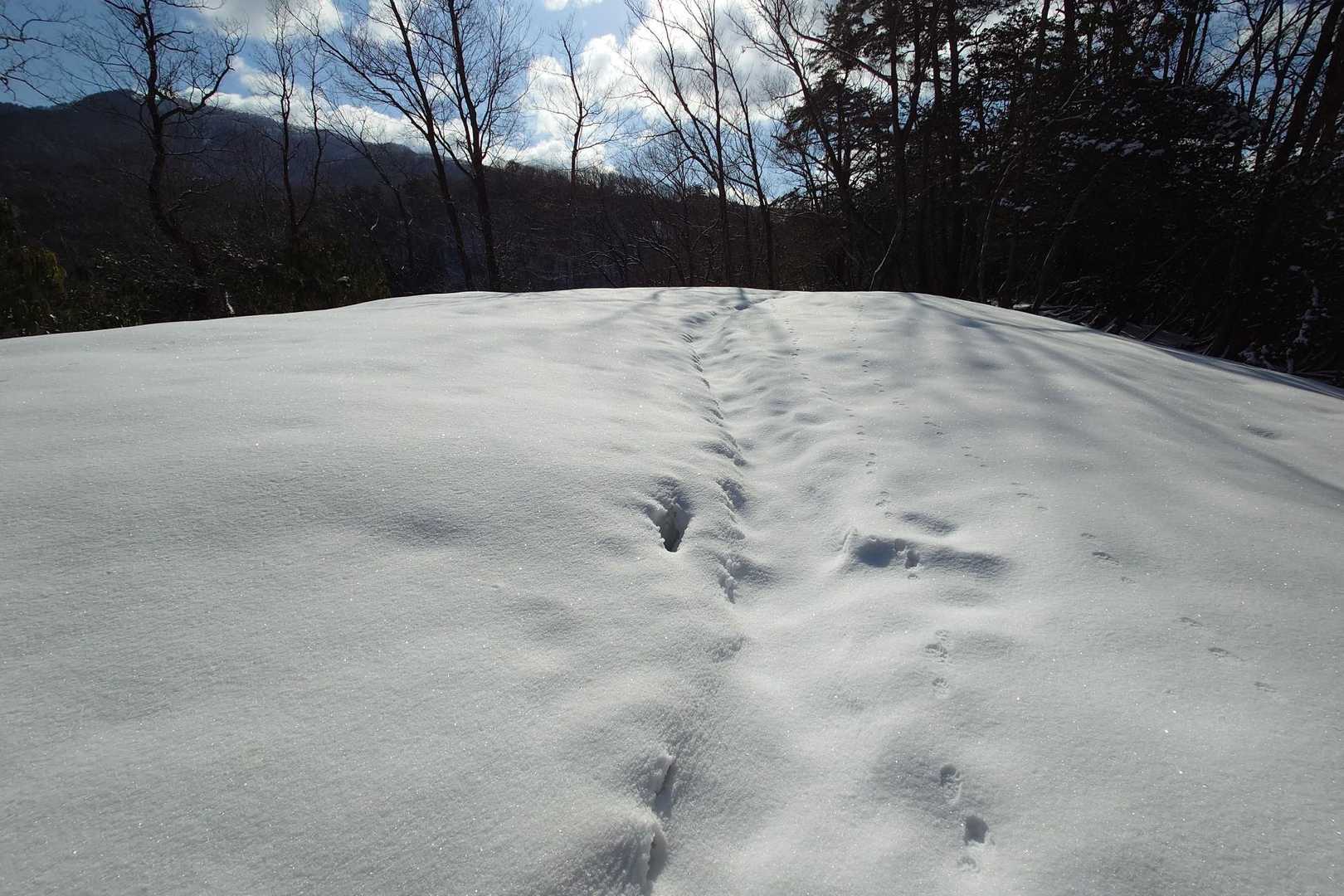 馬の背-蘇武岳 往復コースの写真