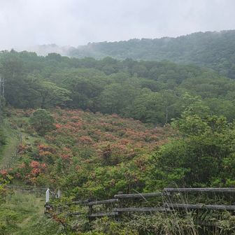見晴山から下を見ると真っ赤です