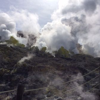 🇯🇲Tosh🇯🇲