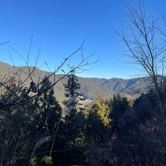 時々景色見える