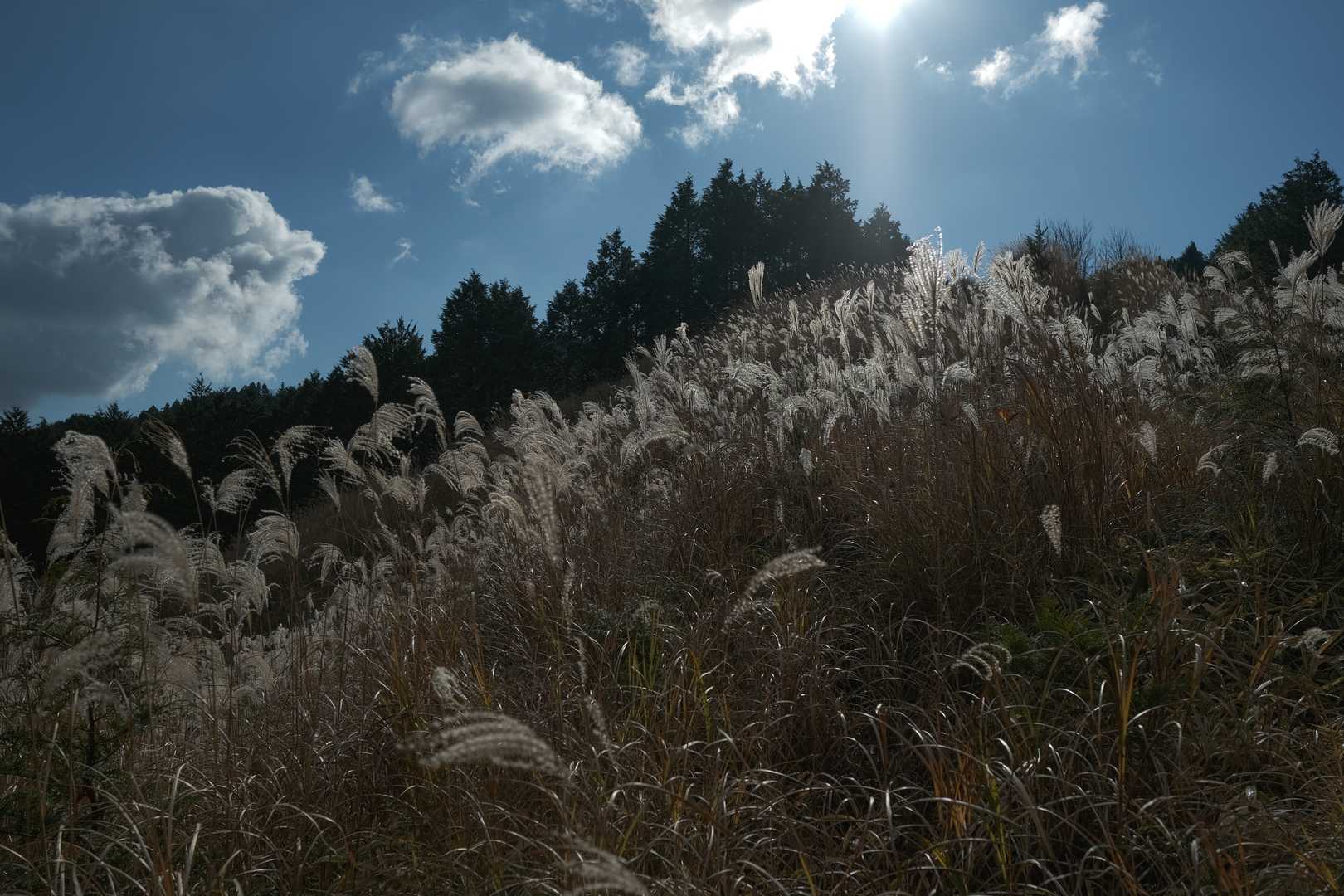 写真じゃわからんけど雲の流れも速いかな🙄