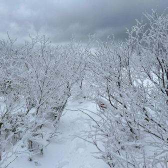 下って行きます