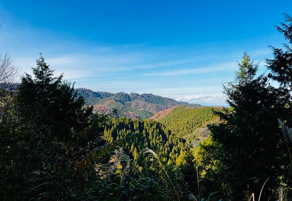 草戸山（東京・神奈川・364m）| 登山ルート・天気 | YAMAP / ヤマップ