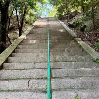 この長〜い階段を上がると、、
（めっちゃきつかった🥵）
