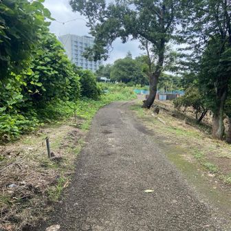 奥に神社が見えて参りました。