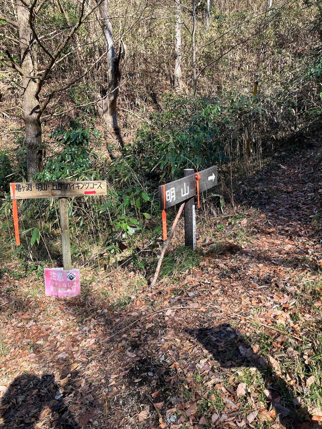 明山登り口-三葉峠-明山 往復コースの写真