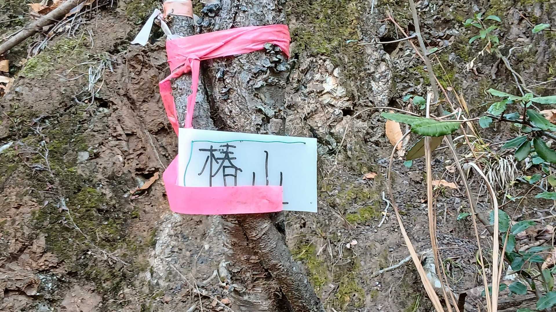 登山口、道路脇に🅿️
やっと2台位かな？
先にも🅿️車高が必要