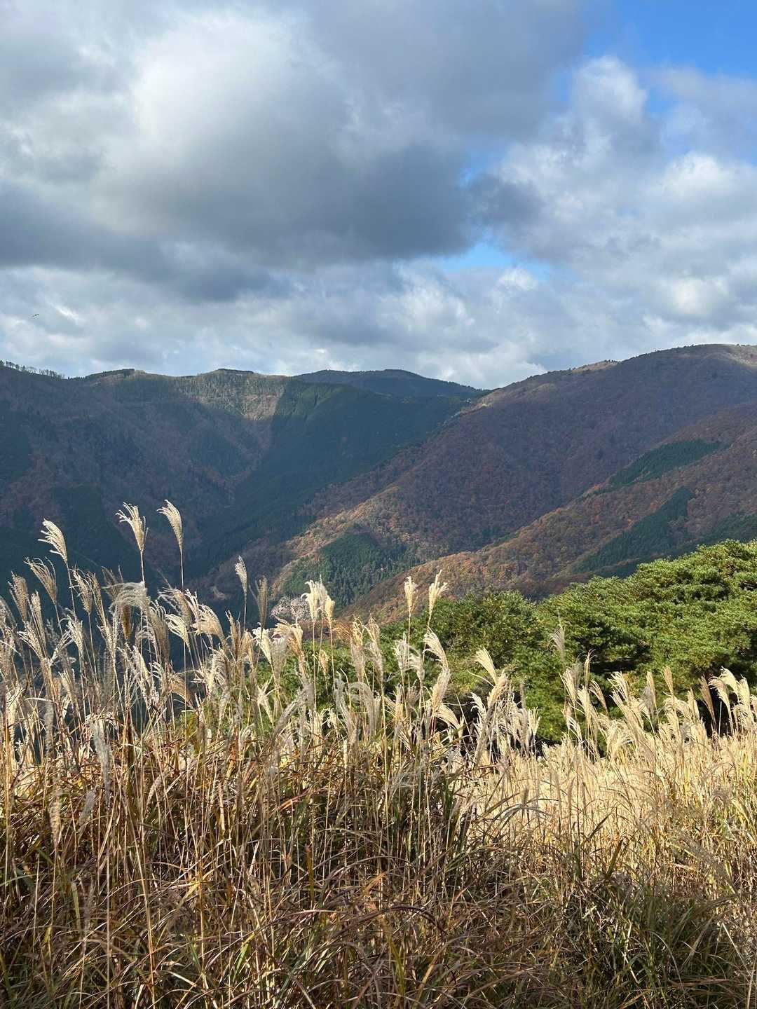 生野高原登山口-達磨ヶ峰-フトウガ峰-段ヶ峰-千町峠 周回コースの写真