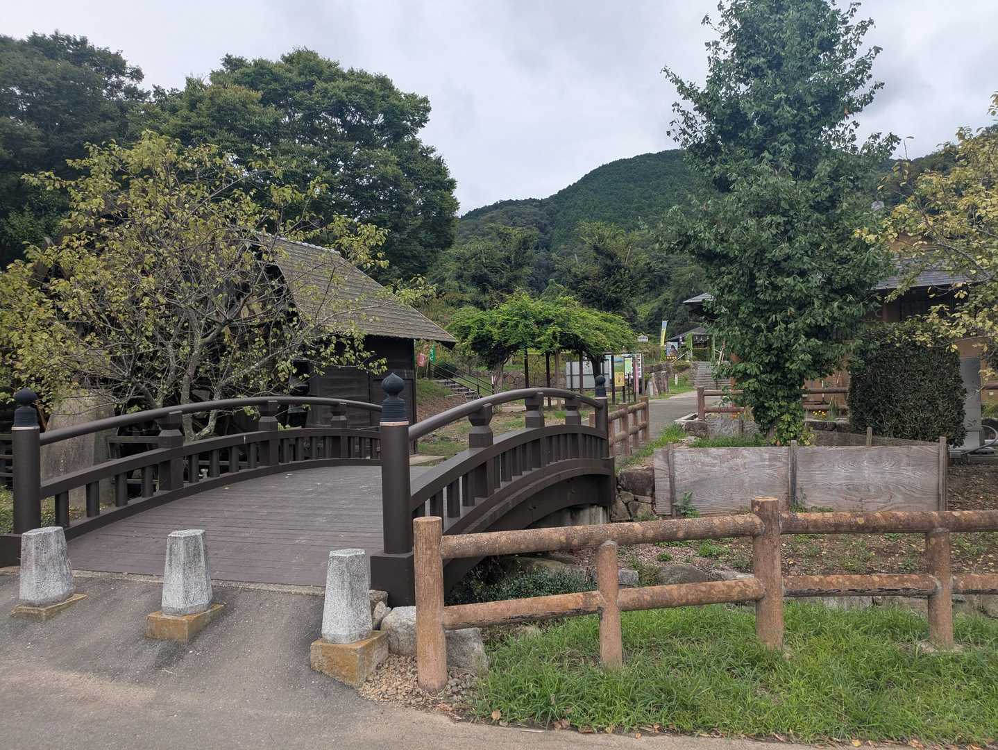 遅くなりましたが、小町の里からスタートします🦍