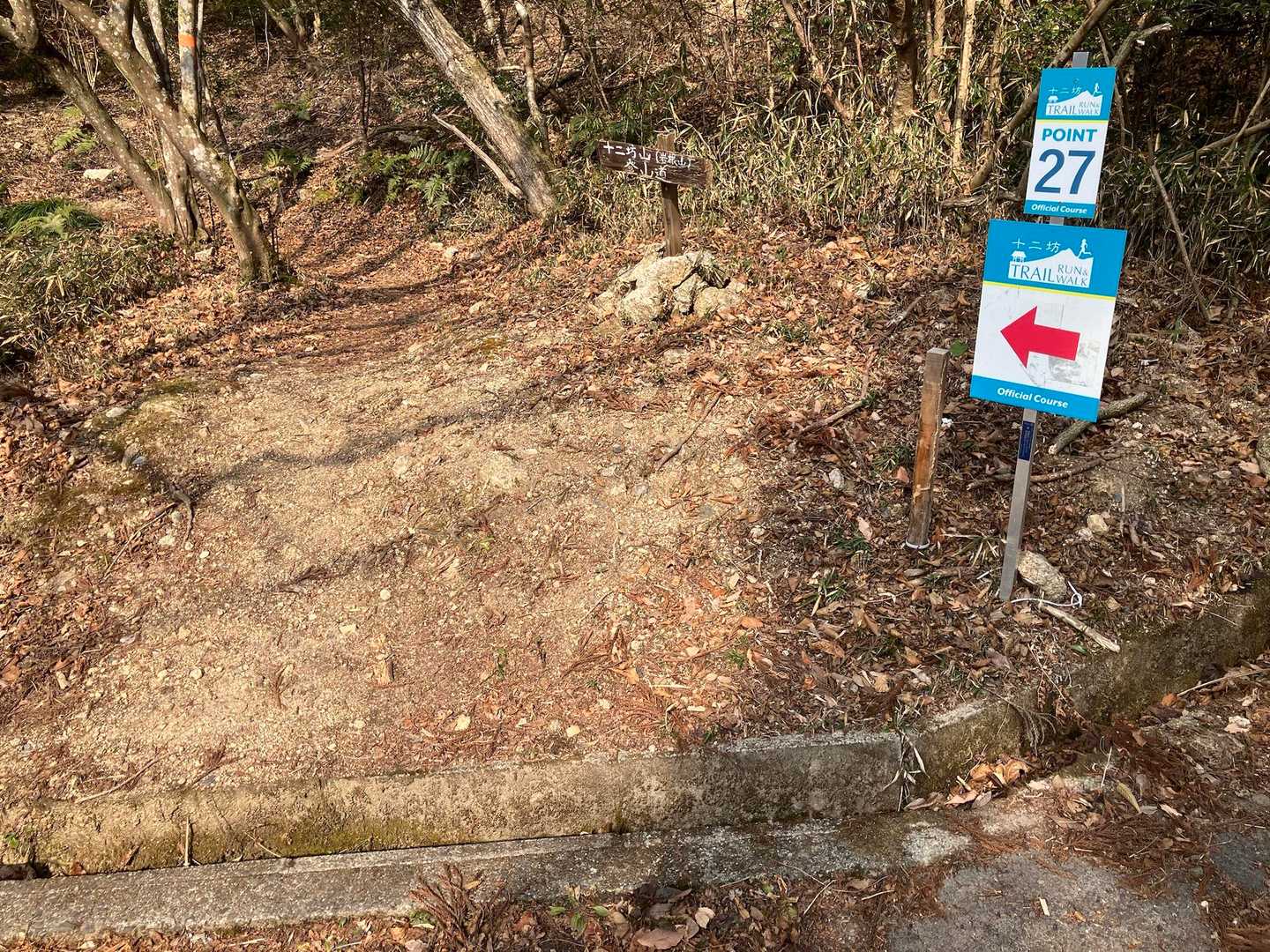 山道から登ります