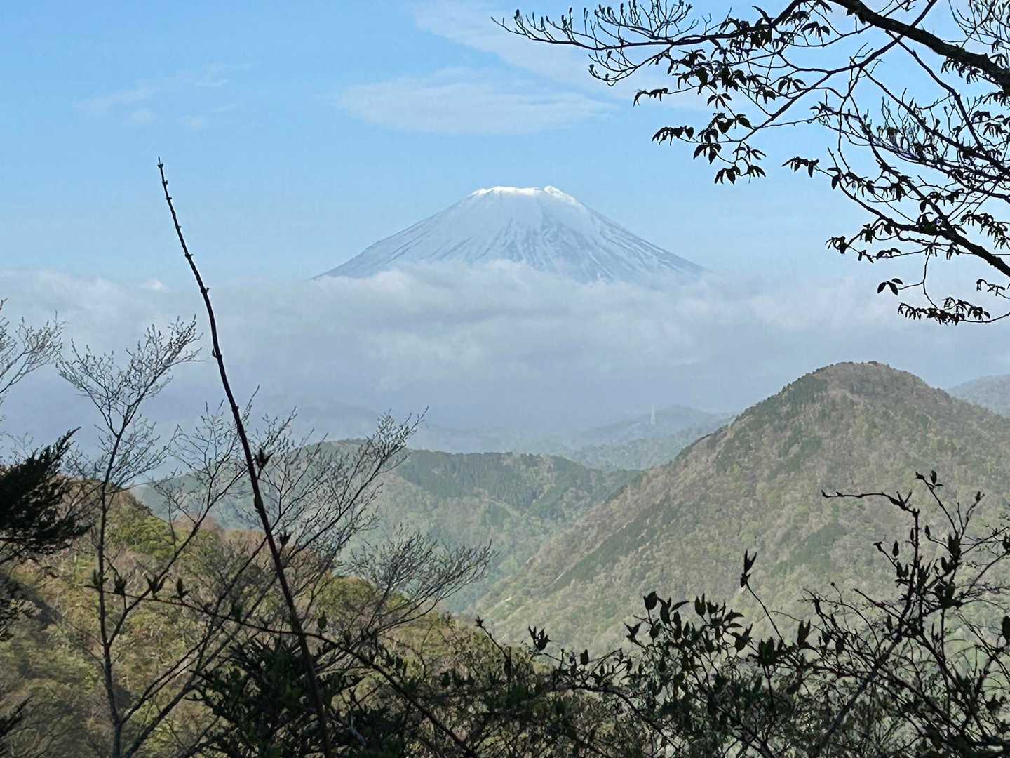 展望園地で奇跡の富士山🗻この後はほぼガスってました