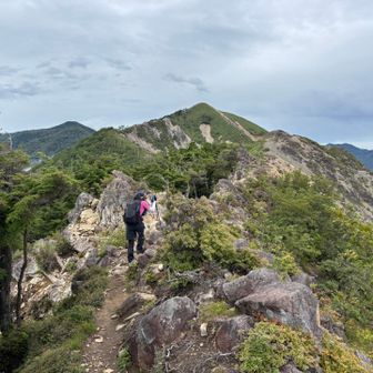 次は波平を探す