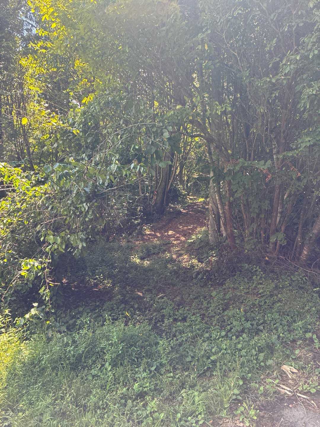 法華山の登山口
一瞬藪で行かれないと思ったけど、すぐ横から登ることができた