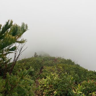 独標方面。無理でした